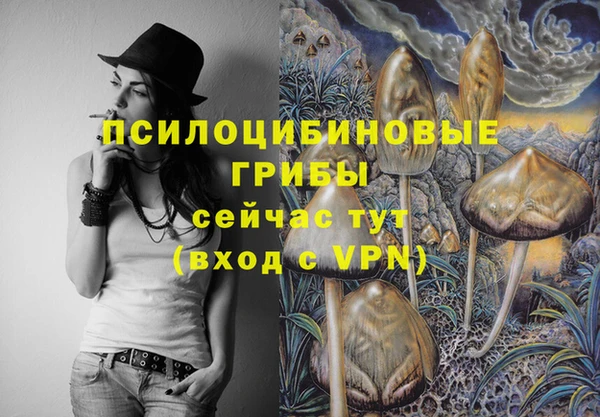 MDMA Алексеевка