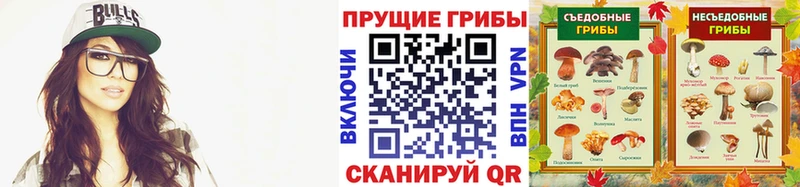 Галлюциногенные грибы мицелий купить наркотики цена Ижевск