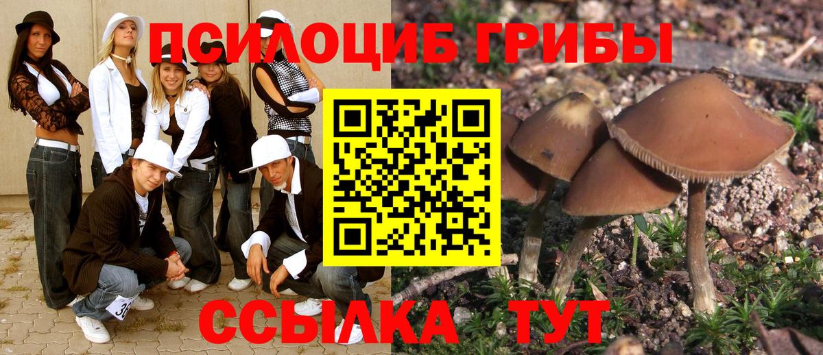 где купить наркотик  Псилоцибиновые грибы MAGIC MUSHROOMS  Вход с VPN  Ижевск 